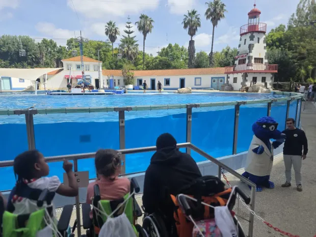 Apresentação Theo na Baia Golfinhos Zoo